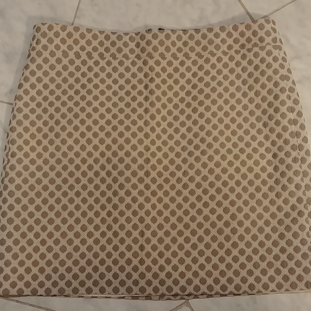 Lined Ann Taylor LOFT skirt